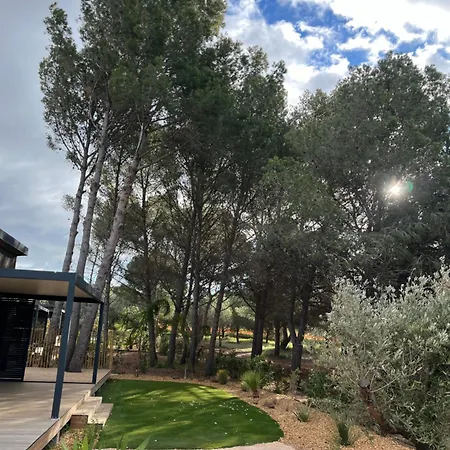 Premium Au Coeur De La Pinede, Ideal Pour Des En Familles Et Entre Amis * アグド