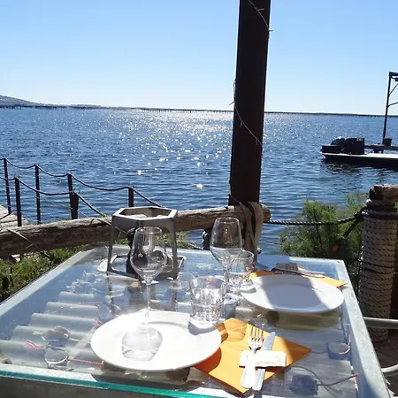 펜션 Premium Au Coeur De La Pinede, Ideal Pour Des En Familles Et Entre Amis *