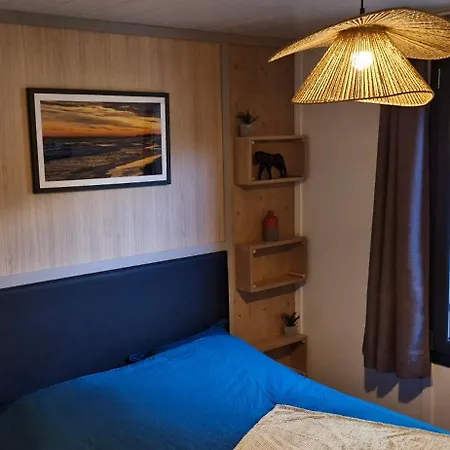 펜션 Premium Au Coeur De La Pinede, Ideal Pour Des En Familles Et Entre Amis *