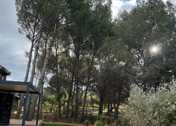 Premium Au Cœur De La Pinède, Idéal Pour Des En Familles Et Entre Amis * Agde