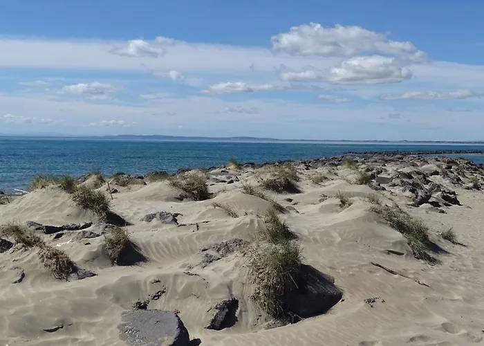 度假居 Premium Au Coeur De La Pinede, Ideal Pour Des En Familles Et Entre Amis