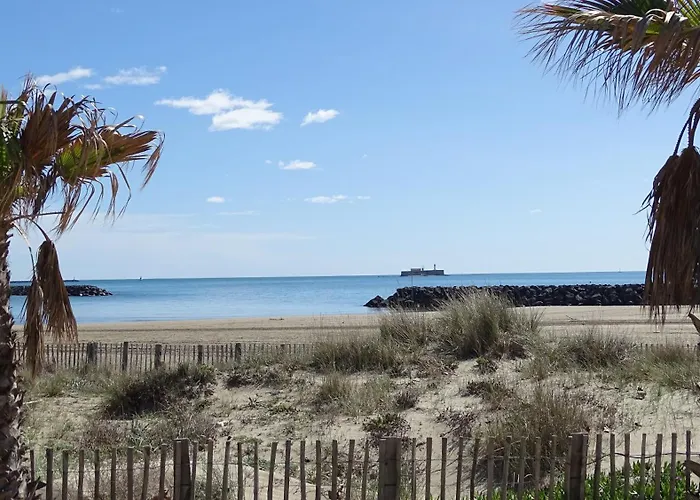 Premium Au Coeur De La Pinede, Ideal Pour Des En Familles Et Entre Amis 阿格德